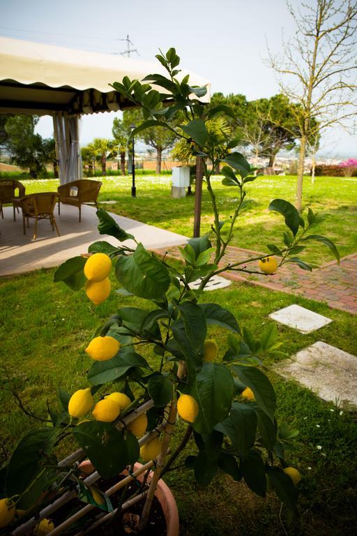 B&B Magic Dozza Ngoại thất bức ảnh